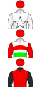 hiddenImage