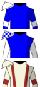 hiddenImage